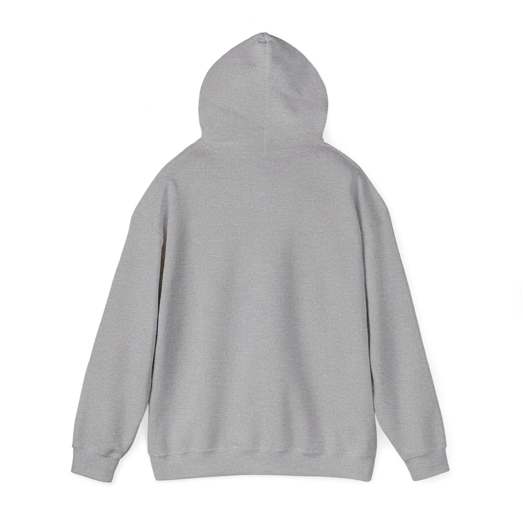 DALA Dance Logo Hoodie — "Where Leaps Are Made" Pullover