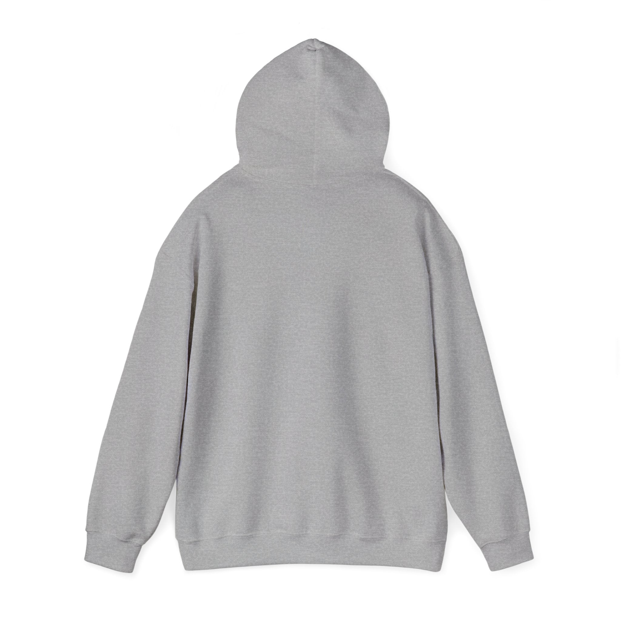 DALA Dance Logo Hoodie — "Where Leaps Are Made" Pullover