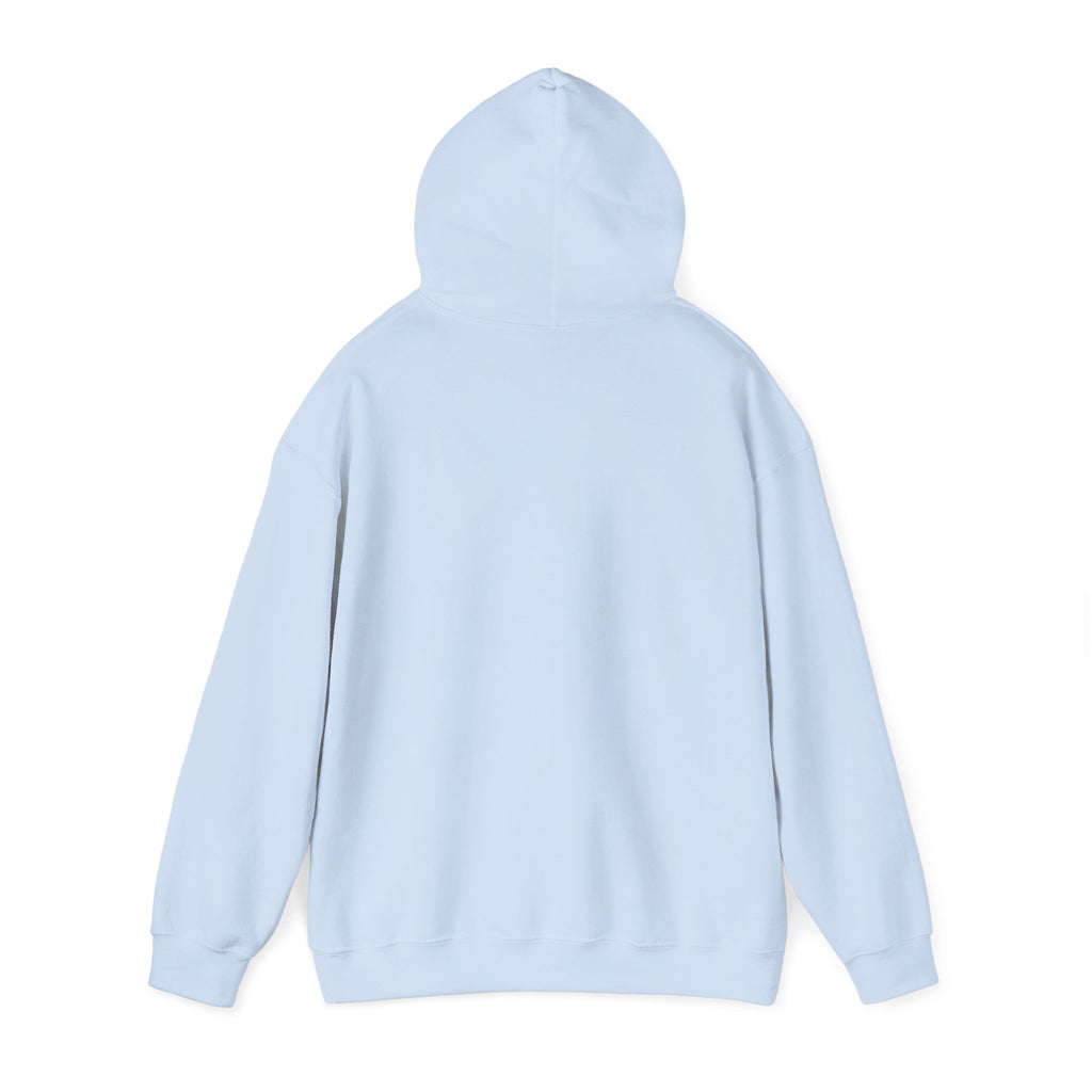 DALA Dance Logo Hoodie — "Where Leaps Are Made" Pullover