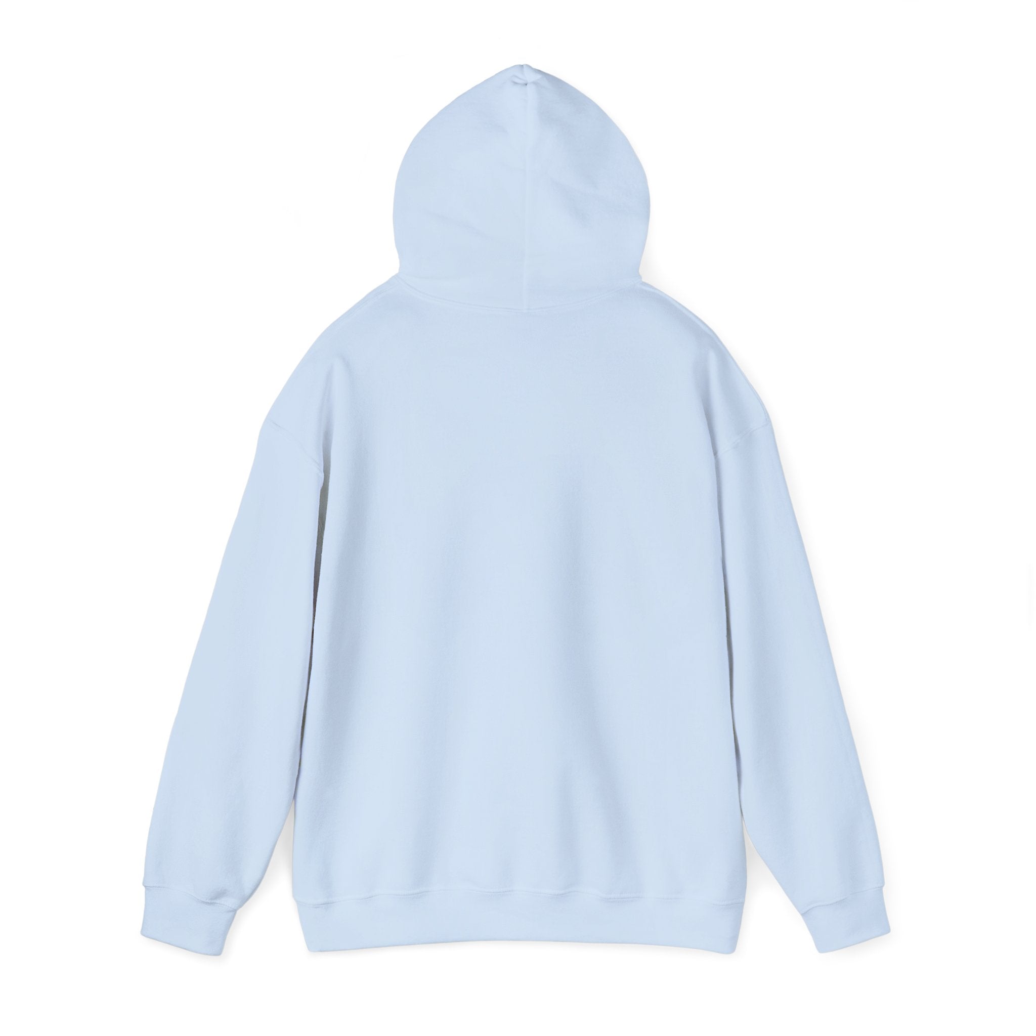 DALA Dance Logo Hoodie — "Where Leaps Are Made" Pullover