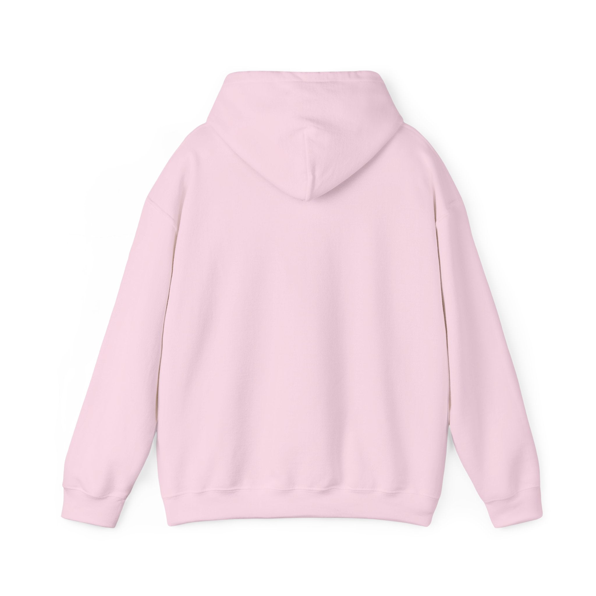 DALA Dance Logo Hoodie — "Where Leaps Are Made" Pullover