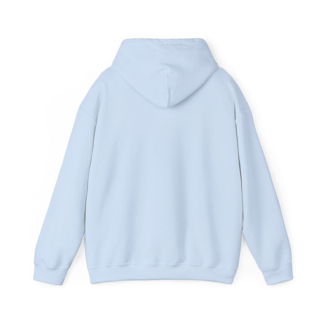 DALA Dance Logo Hoodie — "Where Leaps Are Made" Pullover