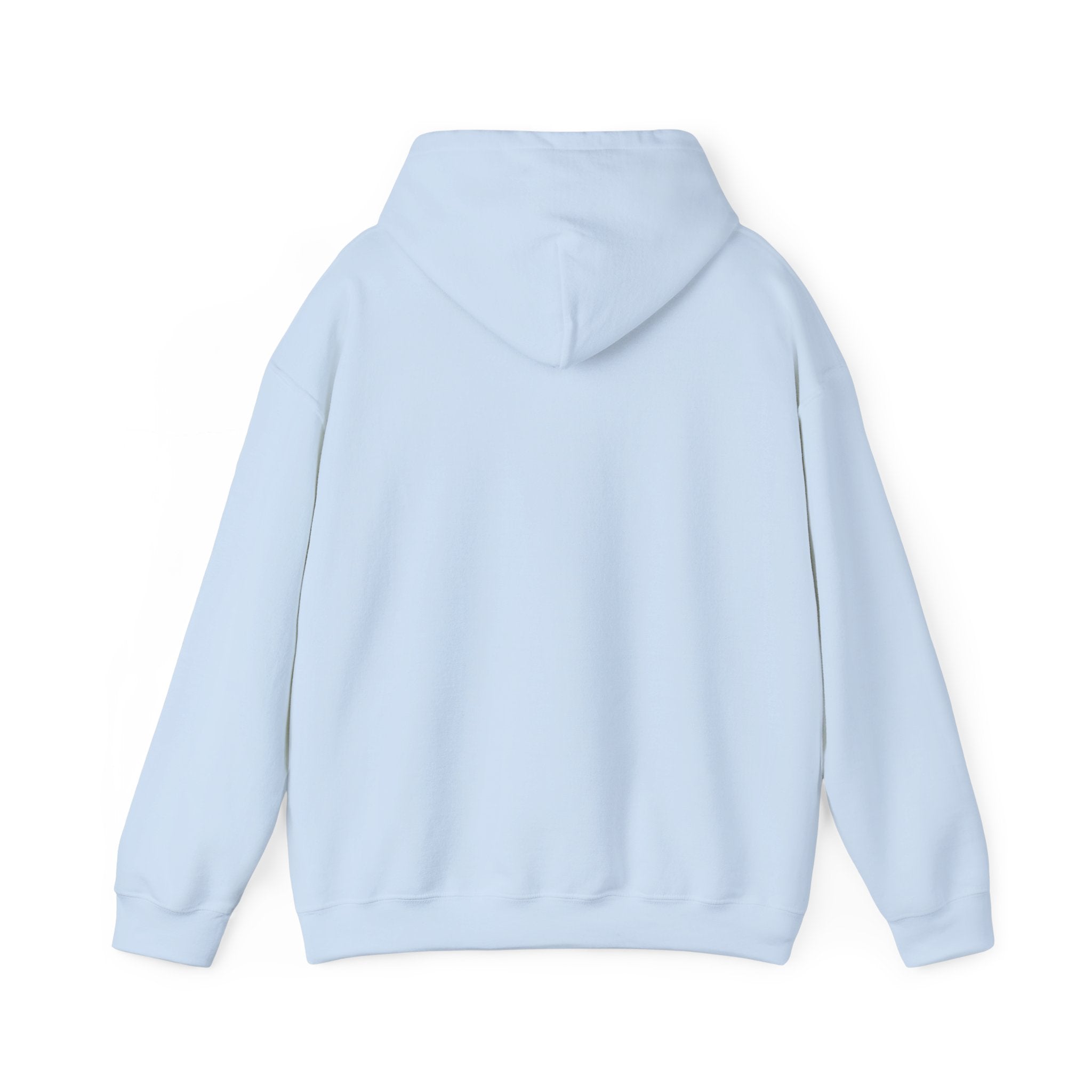 DALA Dance Logo Hoodie — "Where Leaps Are Made" Pullover